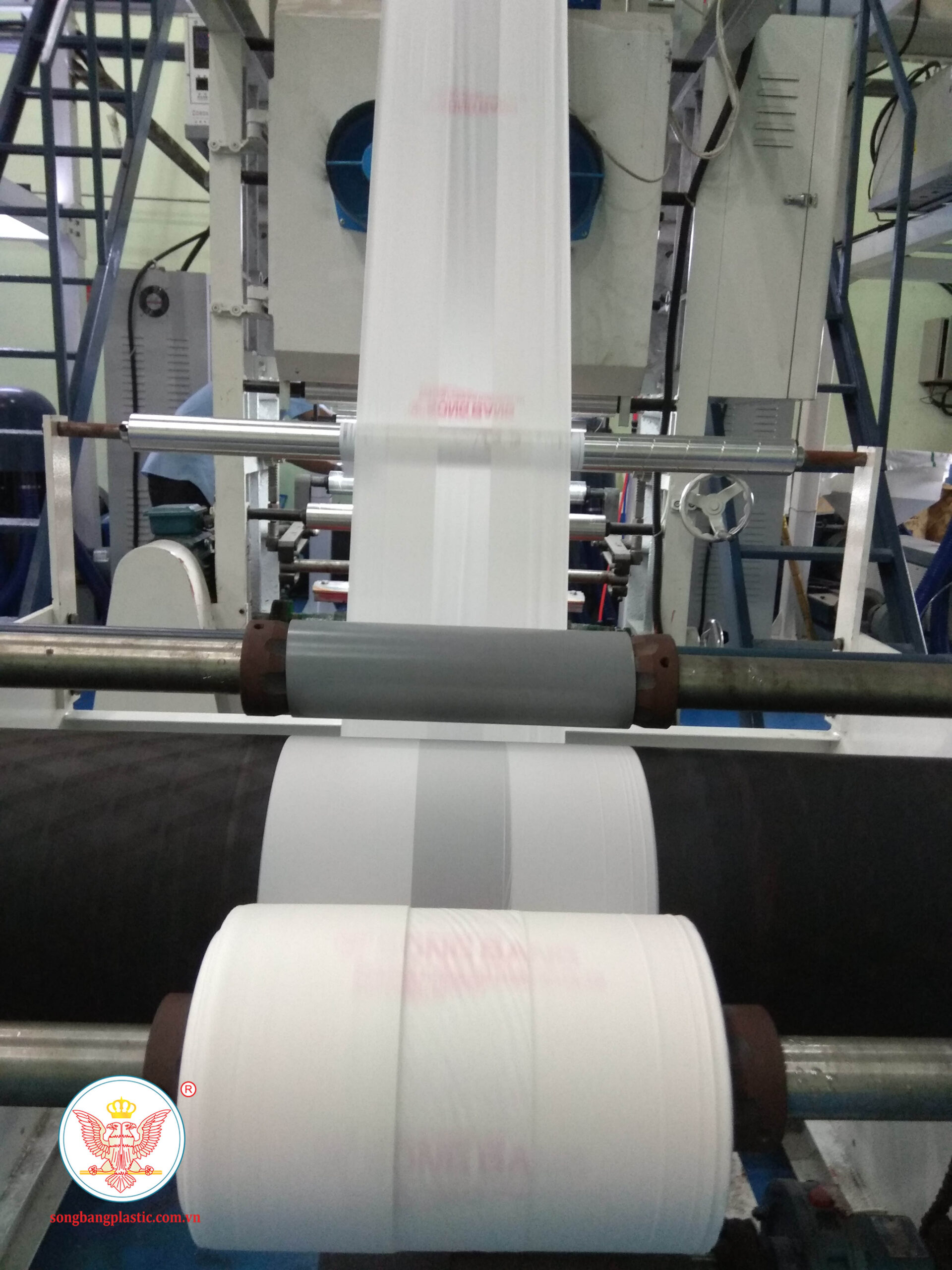 Tui-t-shirt-tu-huy-sinh-hoc-bot-bap-5